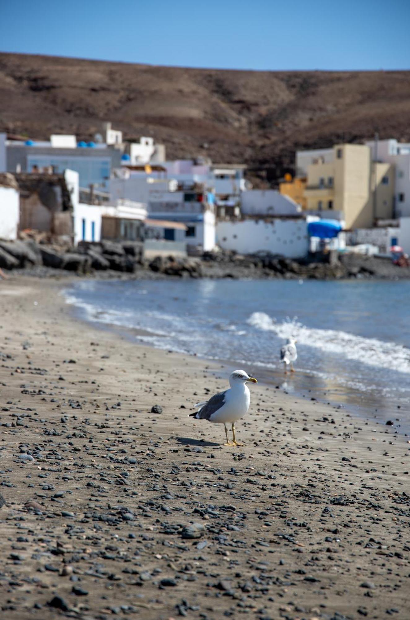 Palm Beach Fuerteventura Тарахалехо Екстер'єр фото
